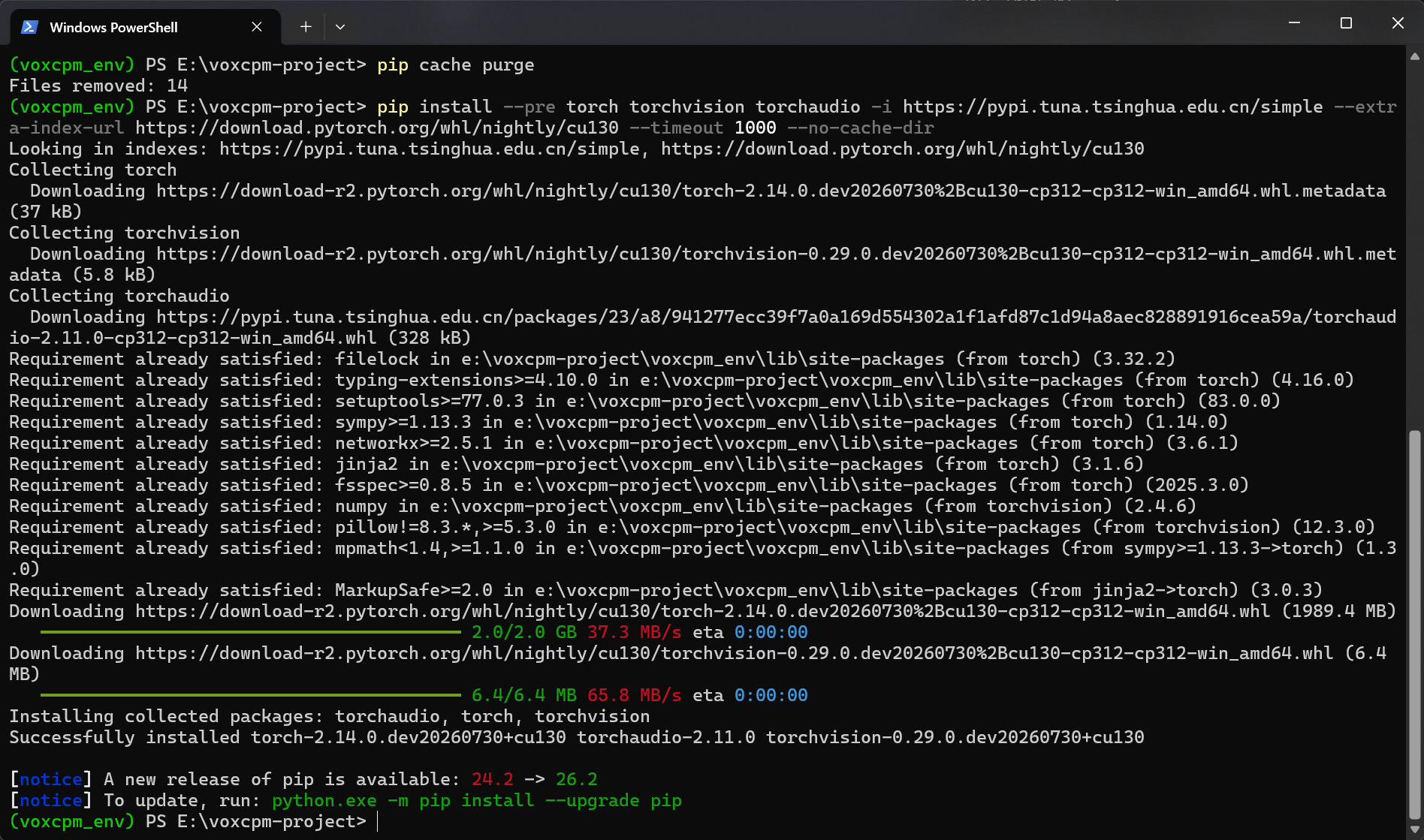 PyTorch 安装成功